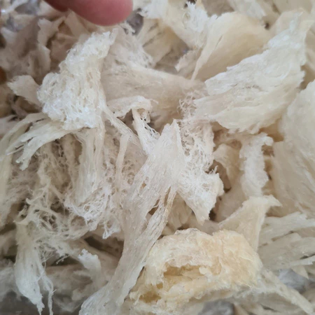 

Sarang Burung Walet Birdnest Bersih Patahan Besar / Sedang / Kecil Natural Asli Yenwo Harga Per Gram