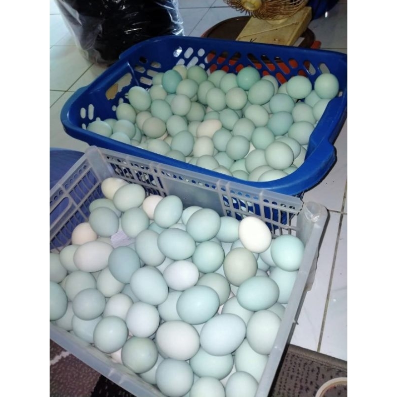 

Telur Asin Bebek Homemade per biji enak murah