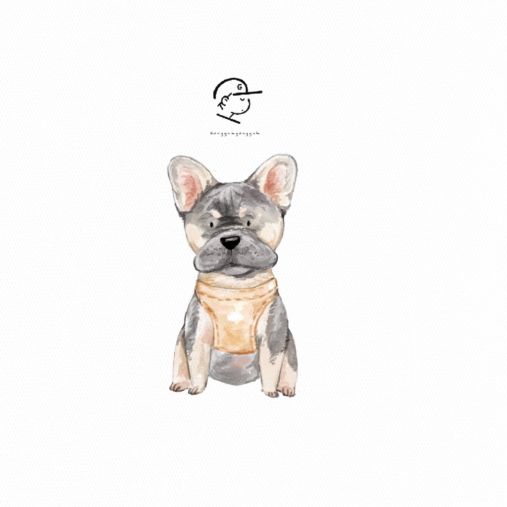 pet illustration