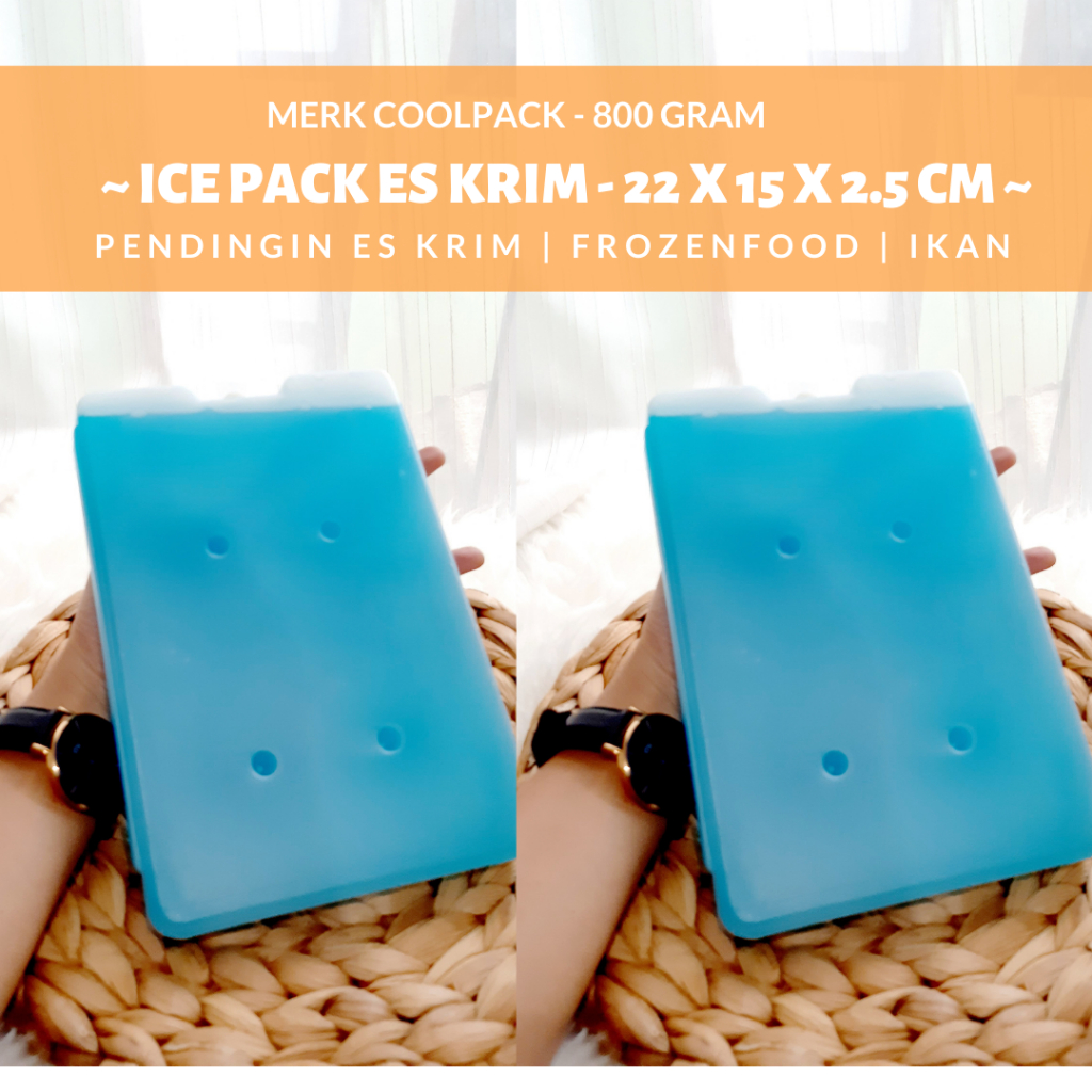 Icepack Kulkas EsPack Pendingin Eskrim Pendingin Keliling 22x15x2.5