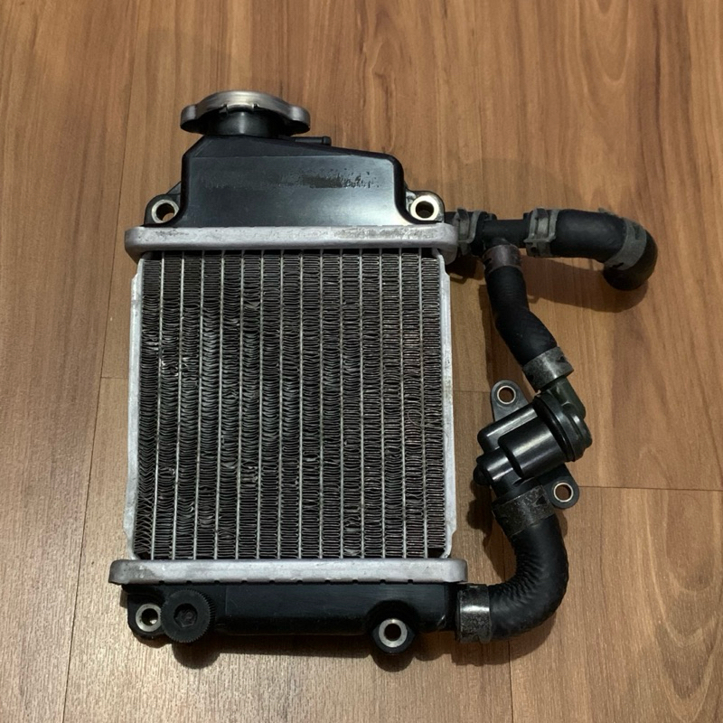 RADIATOR VARIO 110 KARBU SET THERMOSTAT VARIO KARBU ORIGINAL COPOTAN VARIO