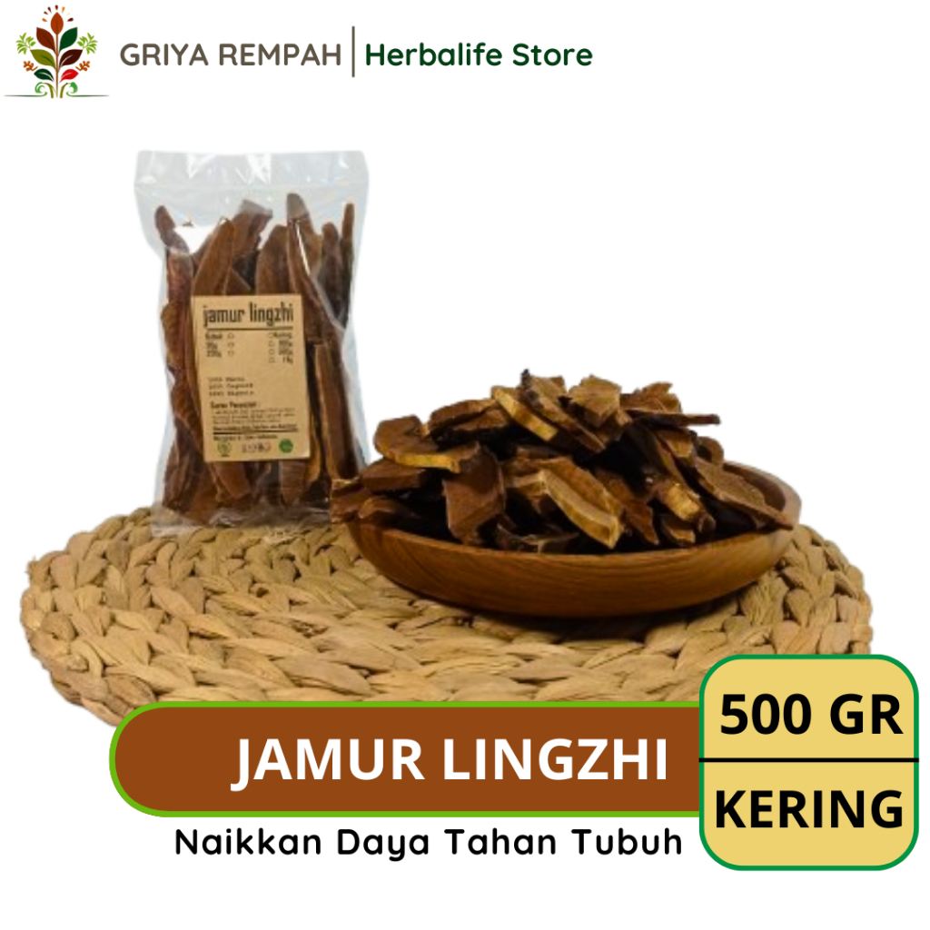 

JAMUR LINGZHI KERING 500 GRAM Premium Reishi Ramuan Rempah Herbal Alami untuk Vitalitas dan Kekebalan Tubuh Lingshi Jamu Tradisional Simplisia Ganoderma sichuanense