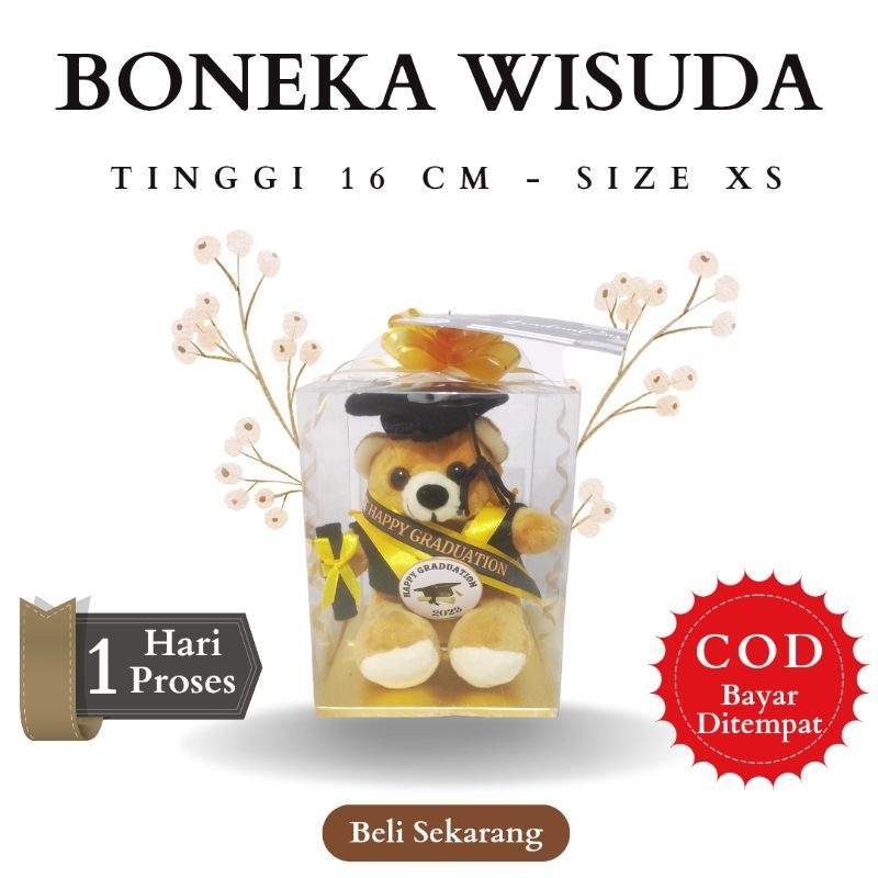 Boneka Wisuda Bisa Custom Nama Size XS | Boneka Beruang | Boneka Kecil Teddy Bear - Our Stuff Indone