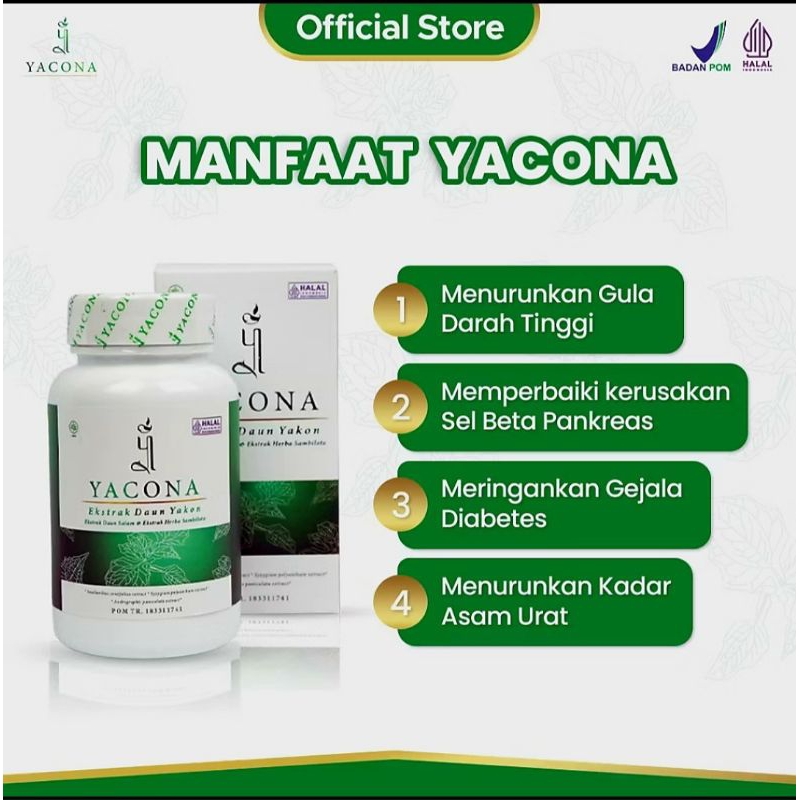 Obat Herbal Diabetes_Yacona Ekstrak Daun Yakon