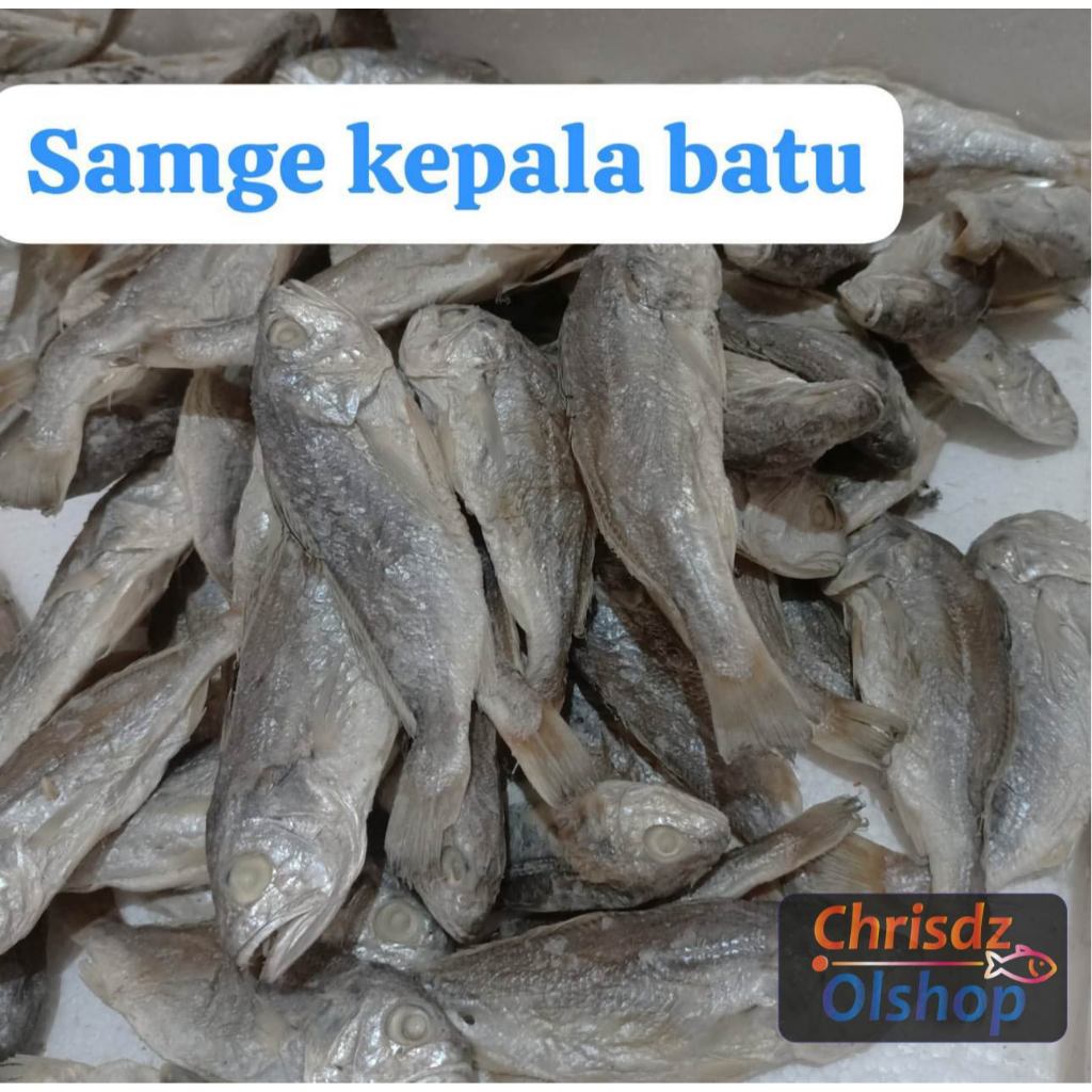 

Samge Kepala Batu (500 Gr)