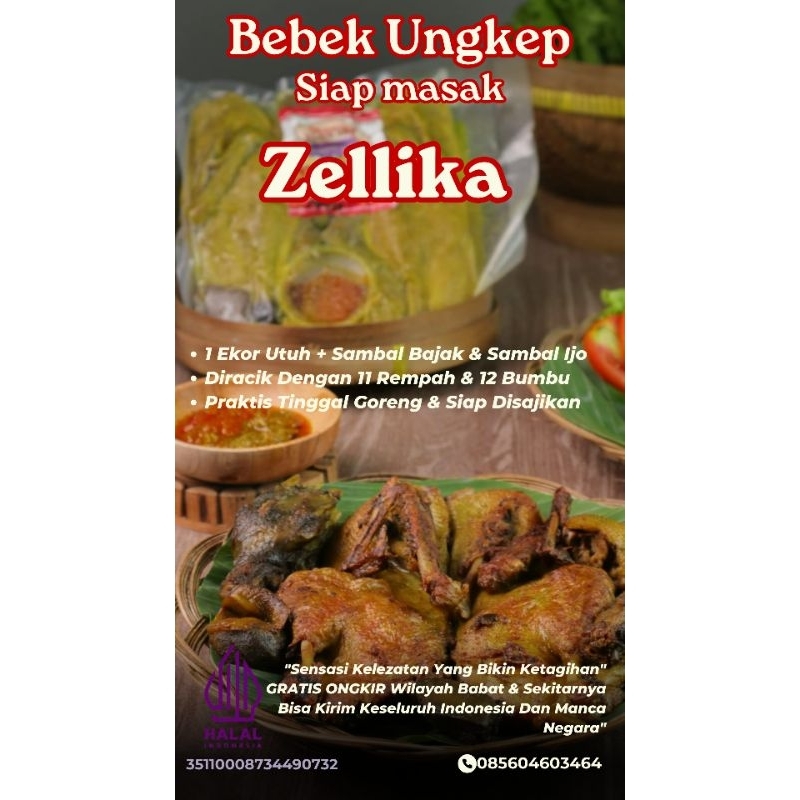 

Bebek Ungkep Frozen Zellika