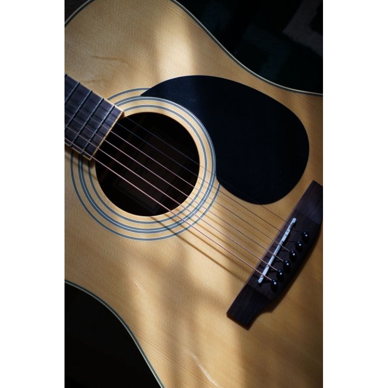 Gitar Segovia D 07 GN