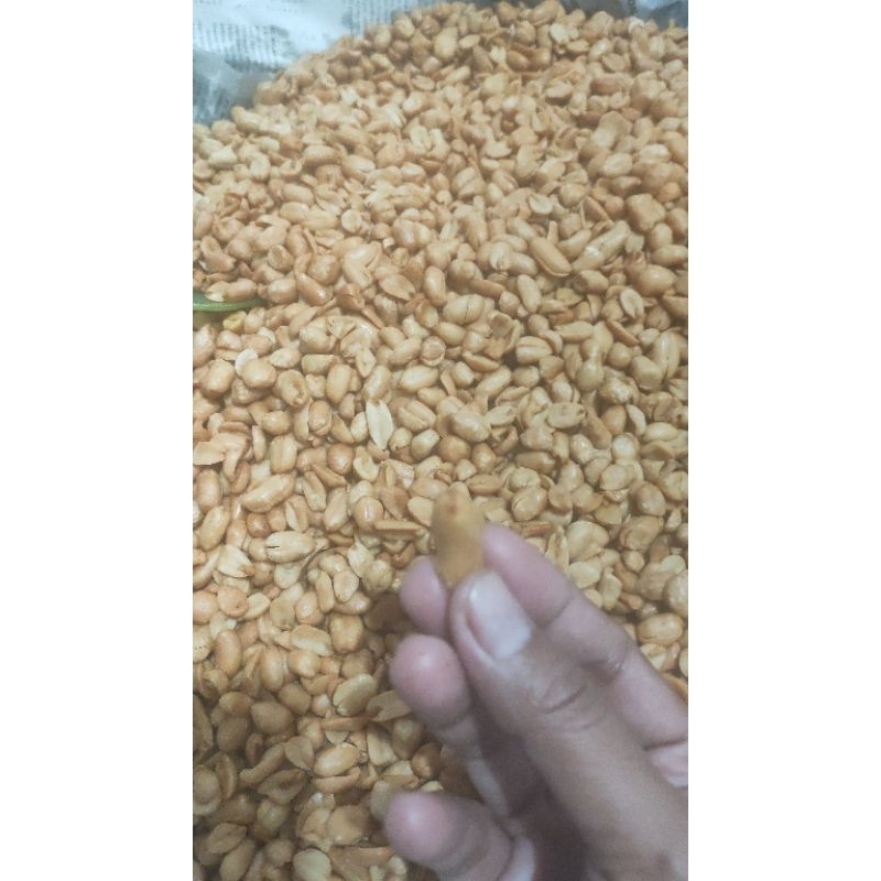 

kacang bawang