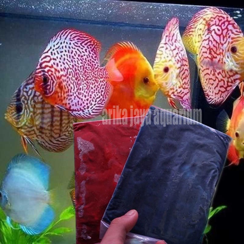 Burger Discus Spesial Merah Pattern pakan ikan diskus cirebon