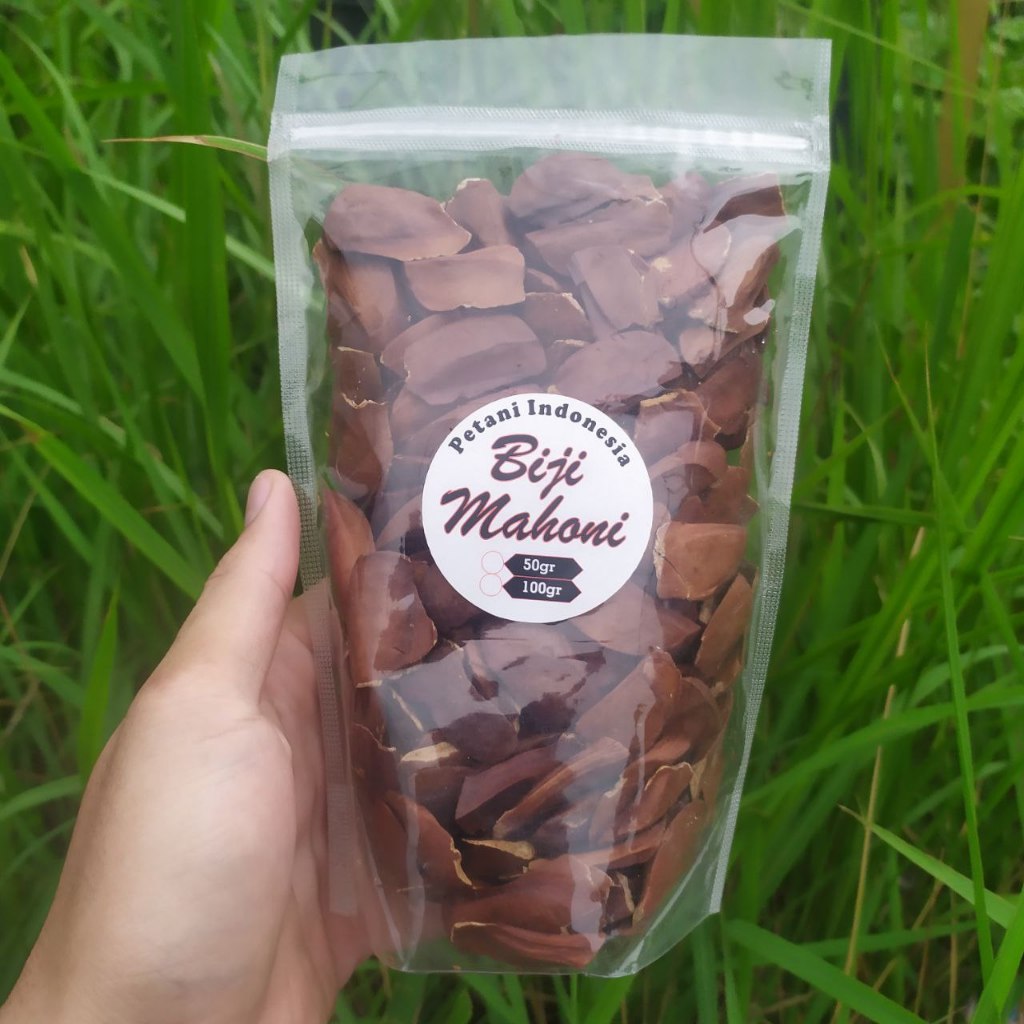 

Biji Mahoni Kering Petani Indonesia 50gr & 100gr 100% Asli Alami Murah