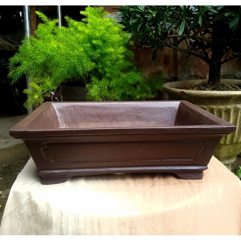 Pot bonsai semen kotak 08 [ instant only ]