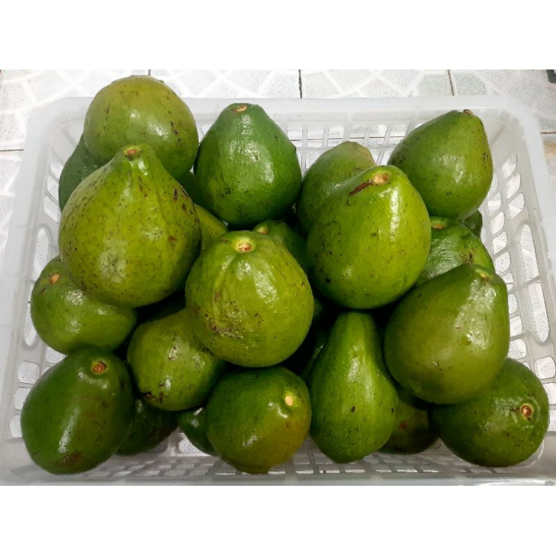 

Buah Alpukat Mentega Maumere (300gr)