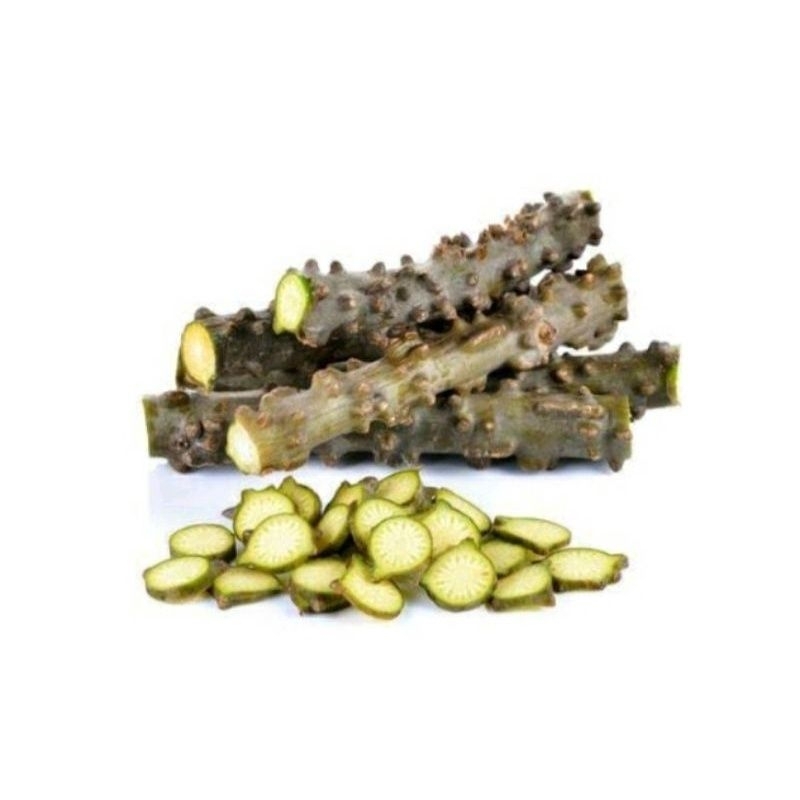 Batrawali / Brotowali / Sapih Asi / Segar langsung petik