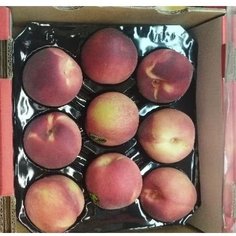 

Buah peach white Australia import grade A super manis lembut -+1,5 Kg