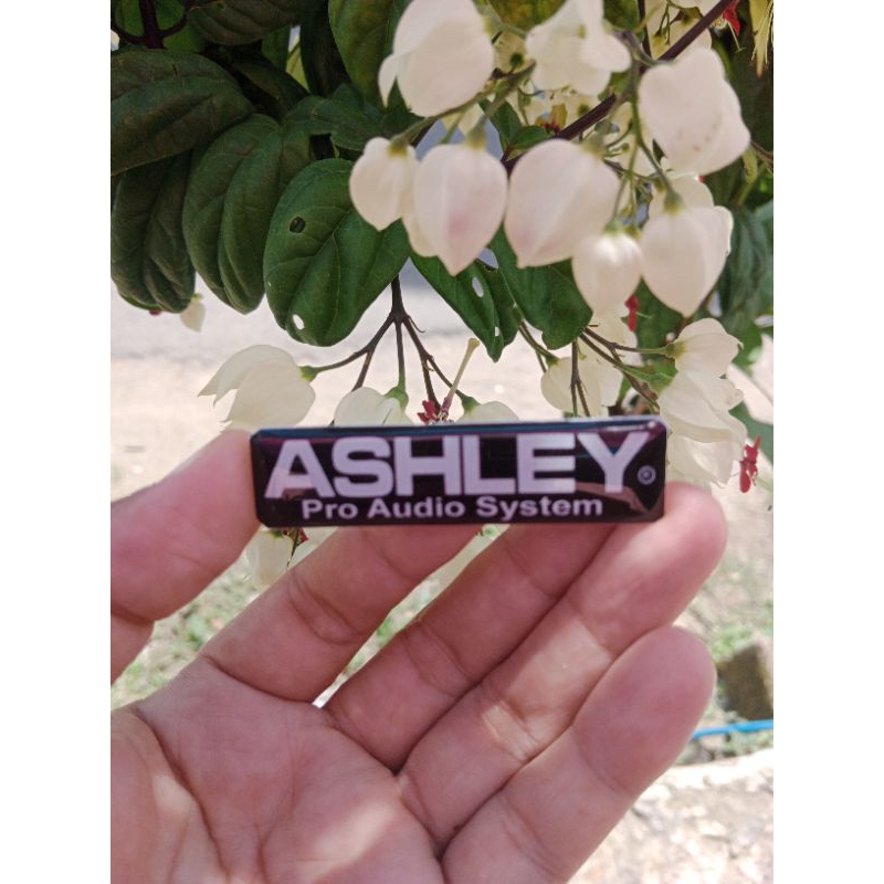 

READY STOK LABEL | LOGO | EMBLEM ASHLEY PRO AUDIO TIMBUL 3D