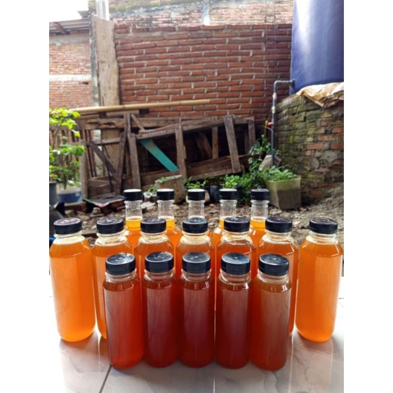 

Madu Hutan Asli Sumbawa Berkualitas 100% Murni Tanpa Campuran