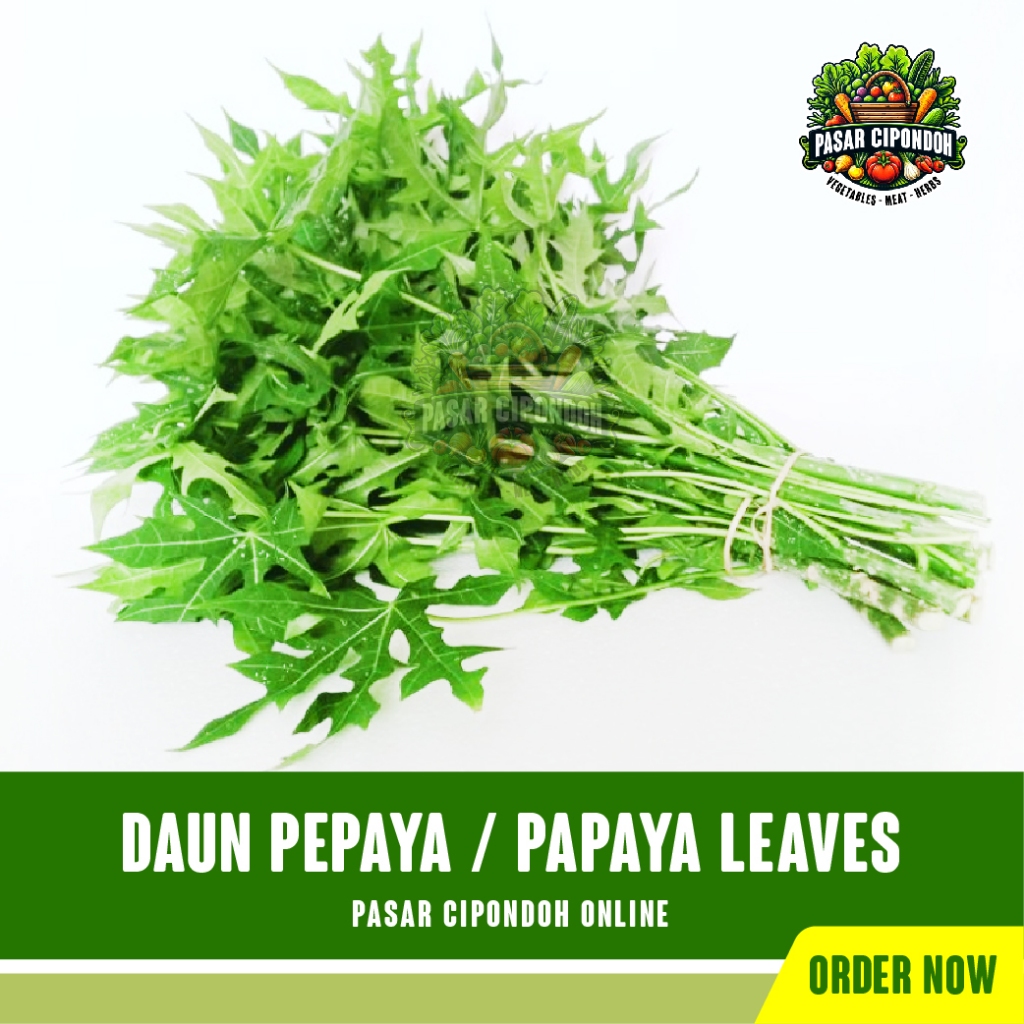 

Daun Pepaya Segar Organik 1 Ikat / Papaya Leaves - Pasar Cipondoh Tangerang