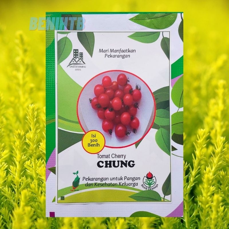 Benih Tomat Cherry Chung IPB isi 300 biji