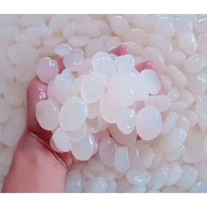 

Promo Kolang-kaling 1kg