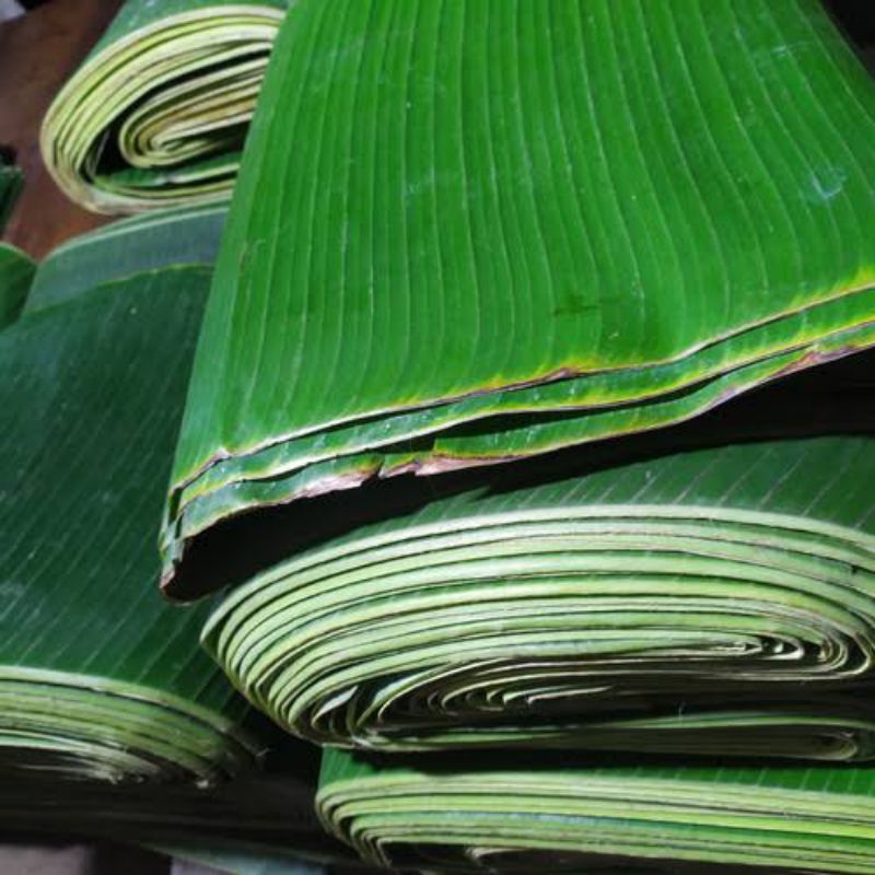 

Daun pisang segar | lebar dan tebal ||