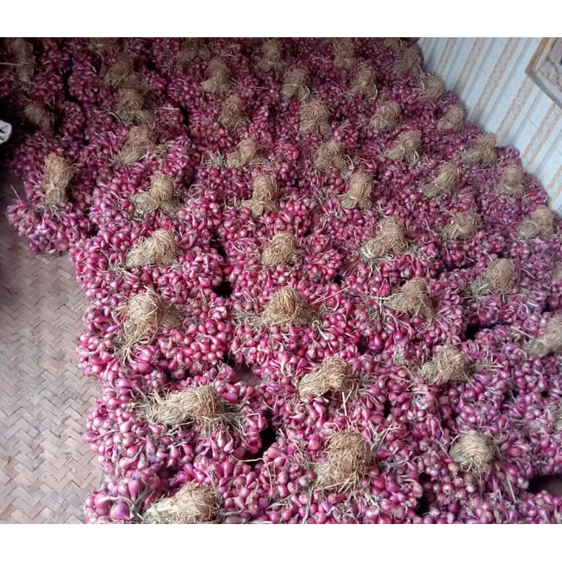 

Bawang Merah 500gr Fresh