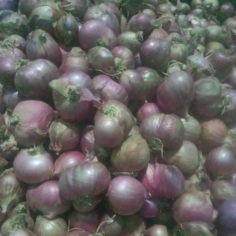 

BAWANG MERAH500GR
