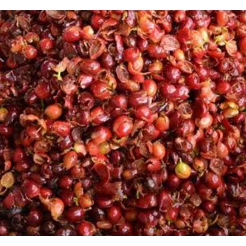 kulit kopi basah 1kg #media tanam #kompos