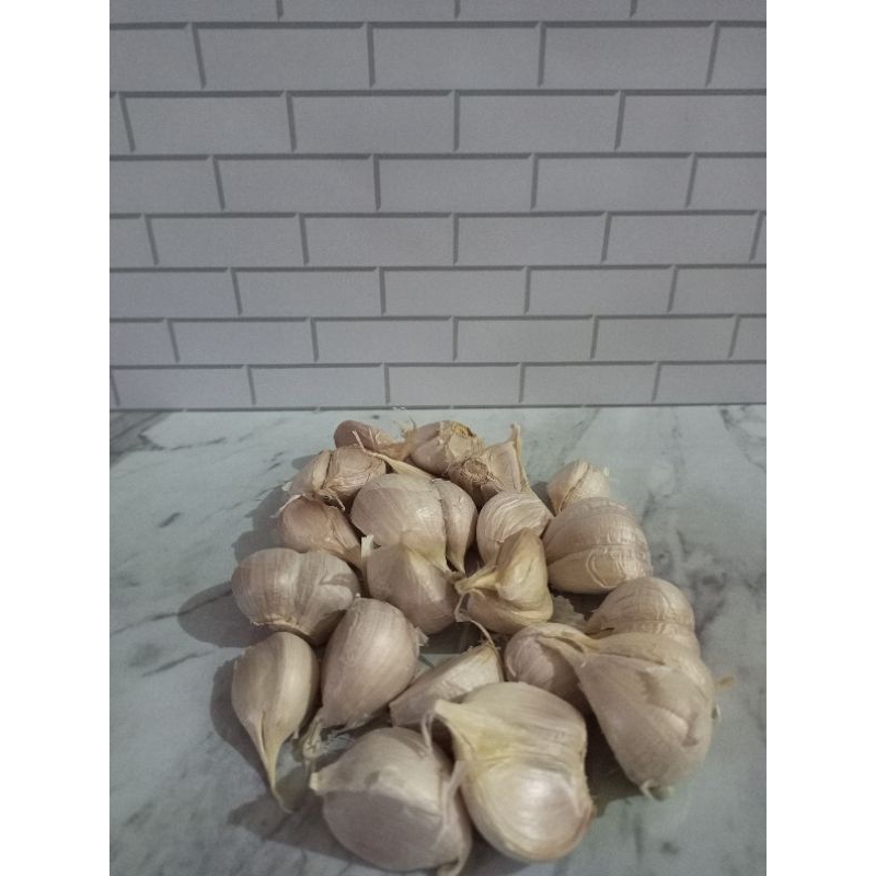 

Bawang putih kating