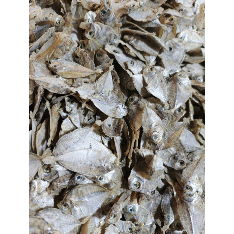 

Ikan Maco Rakik Tawar Ikan Pirik / petek kualitas super