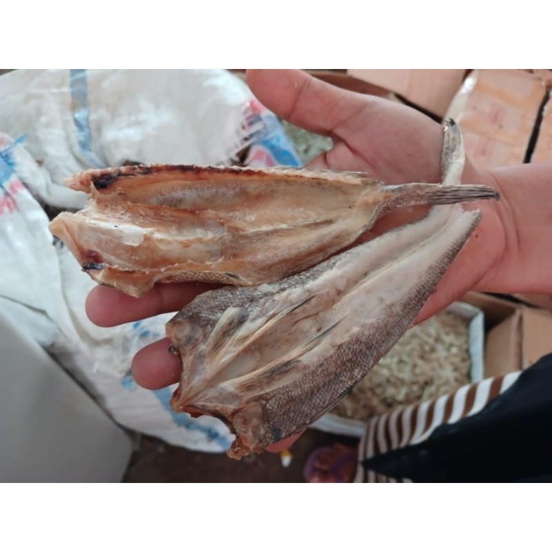 

ikan asin bloso bobosok 250gr