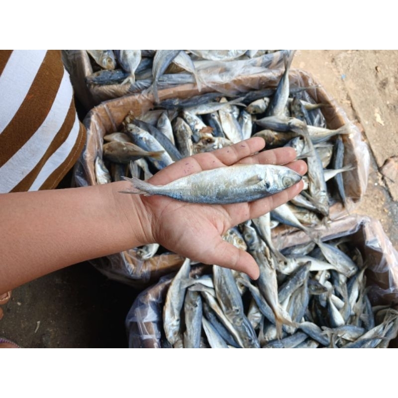 

ikan asinjapuh ukuran besar250gr