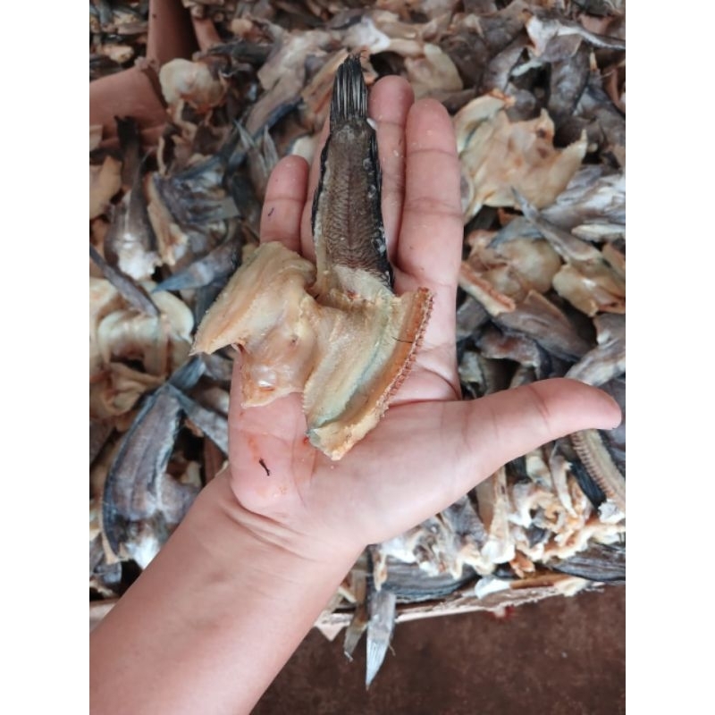 

ikan gabus asin kecil250gr