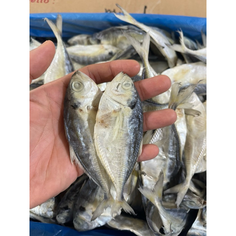 

SELAR MAKIAH ASIN 1KG