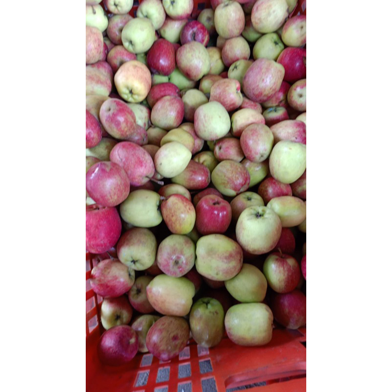 

apel ana (500gr)