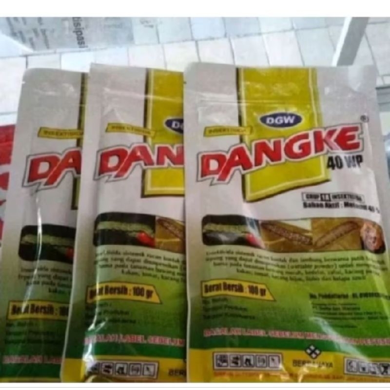 Dangke 100g