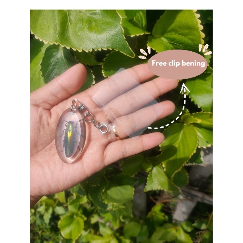 Gantungan HP resin serangga asli samber lilin free clip bening