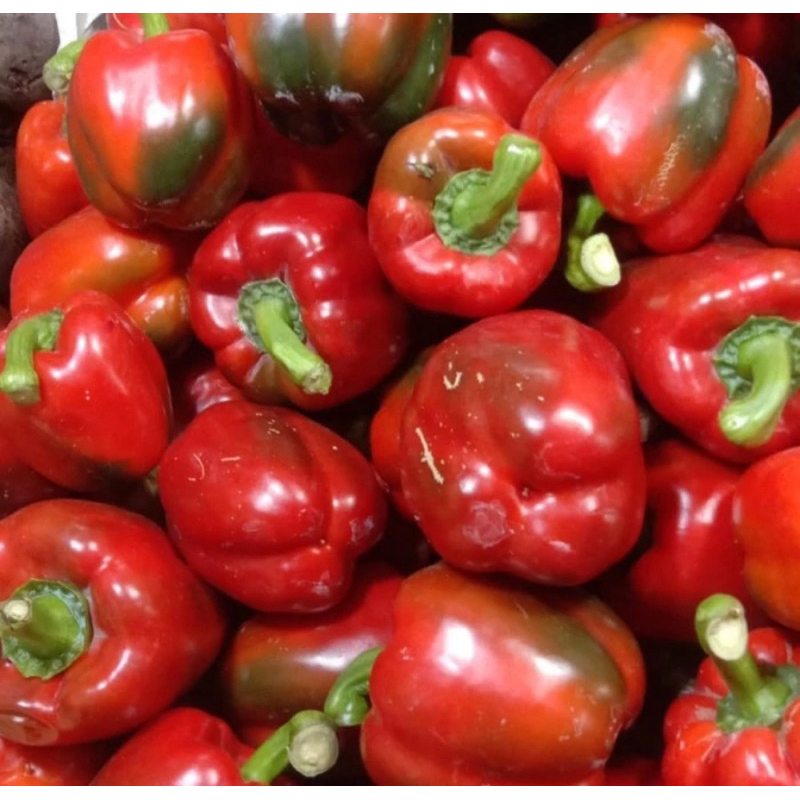 

Paprika Merah - 500gram