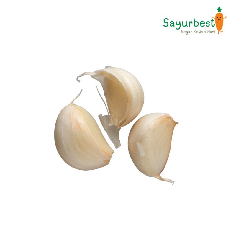 

Bawang Putih Kating