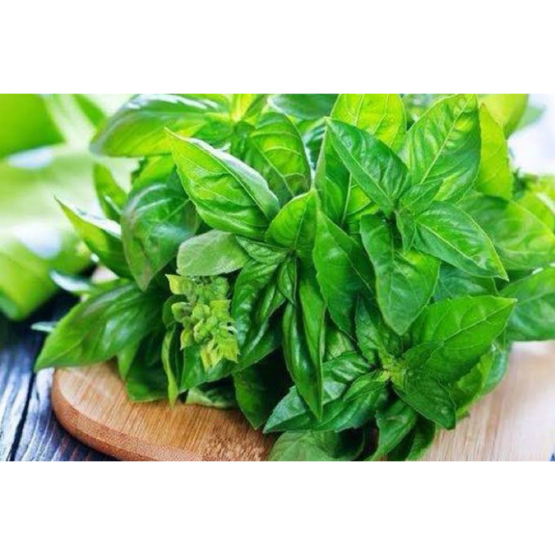 

DAUN KEMANGI 250 gram