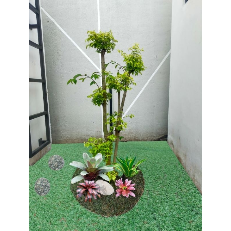 jasa pembuatan taman rumah,jasa rawat taman