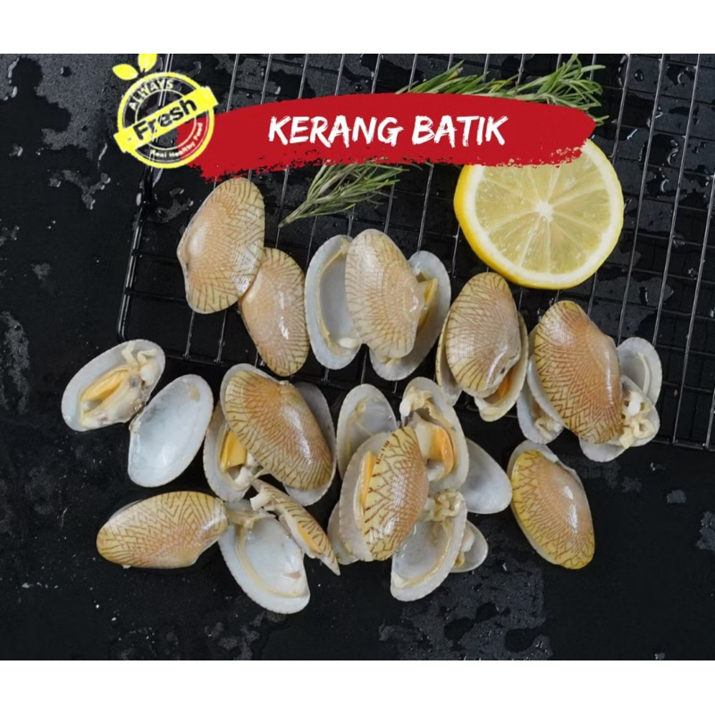 

Tepung Kerang Batik untuk Pakan Ternak kemasan 1 kg