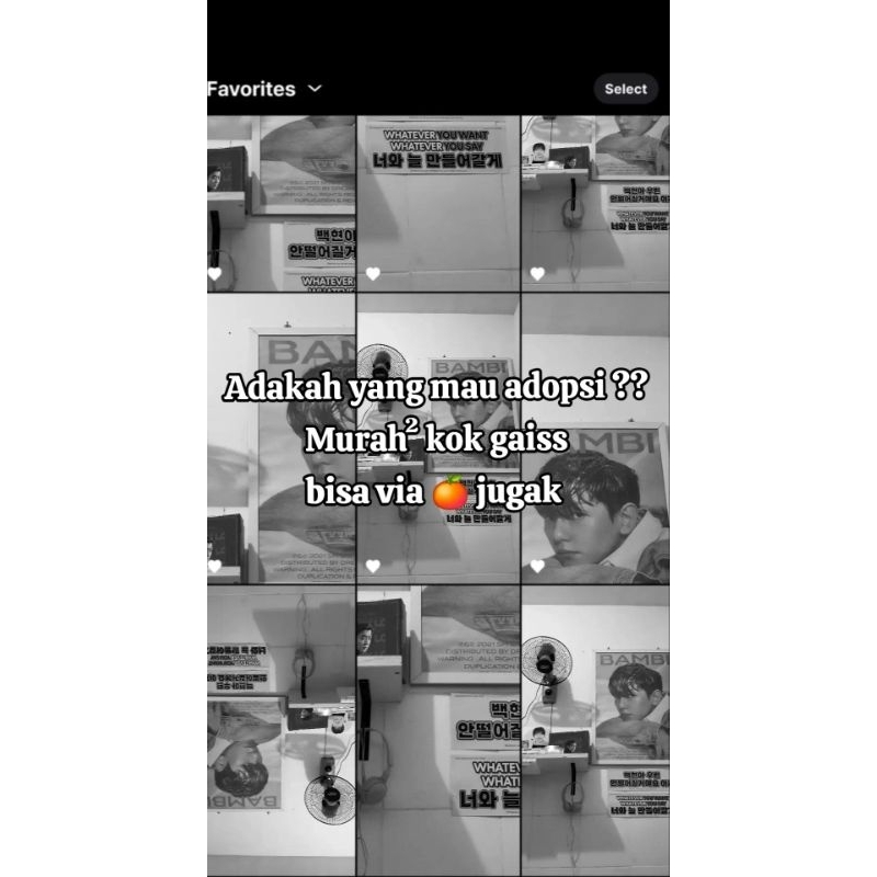 JUAL ALBUM EXO - ALBUM ONLY ( ALBUM KPOP )