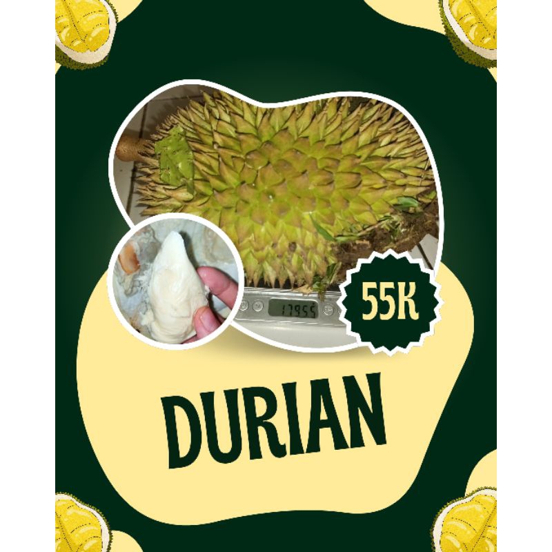 

Durian Lokal Utuh: Manis Legit, Fresh dari Kebun!