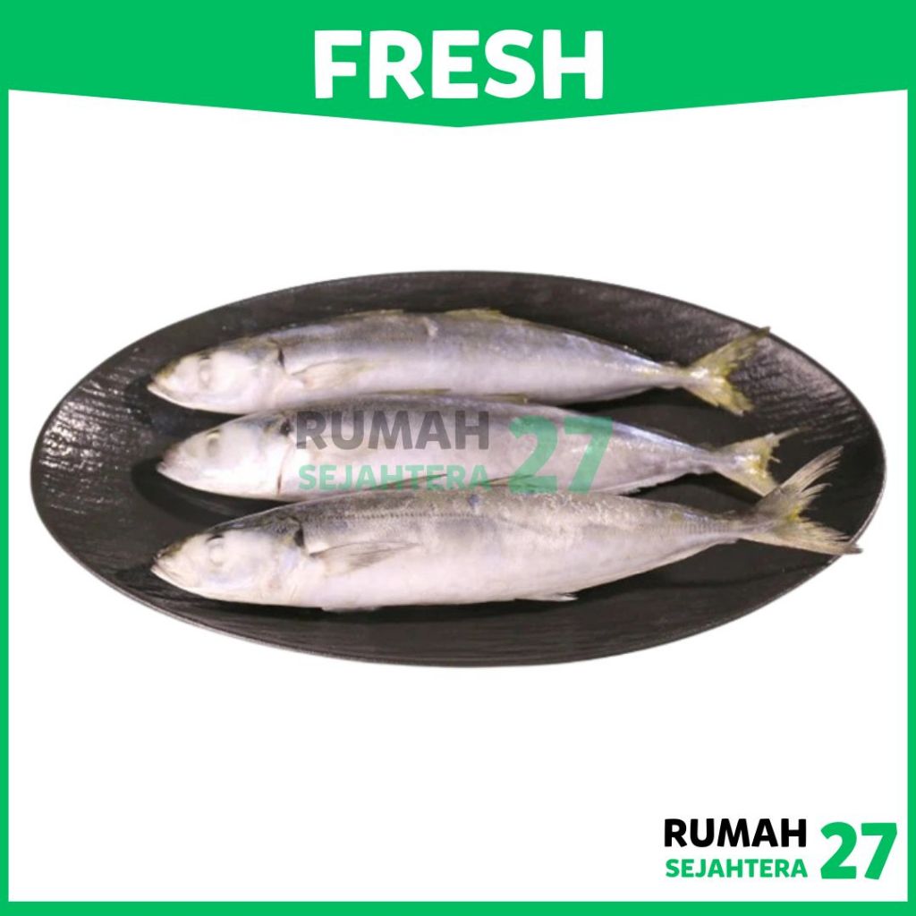 

KIRIM INSTANT DEPOK Ikan Layang Fresh Frozen Beku 1 Kg