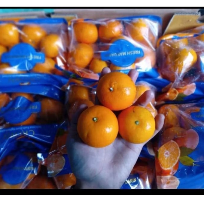 

Buah Jeruk Wogan Crown Pack Jual Per 1 Dus karton