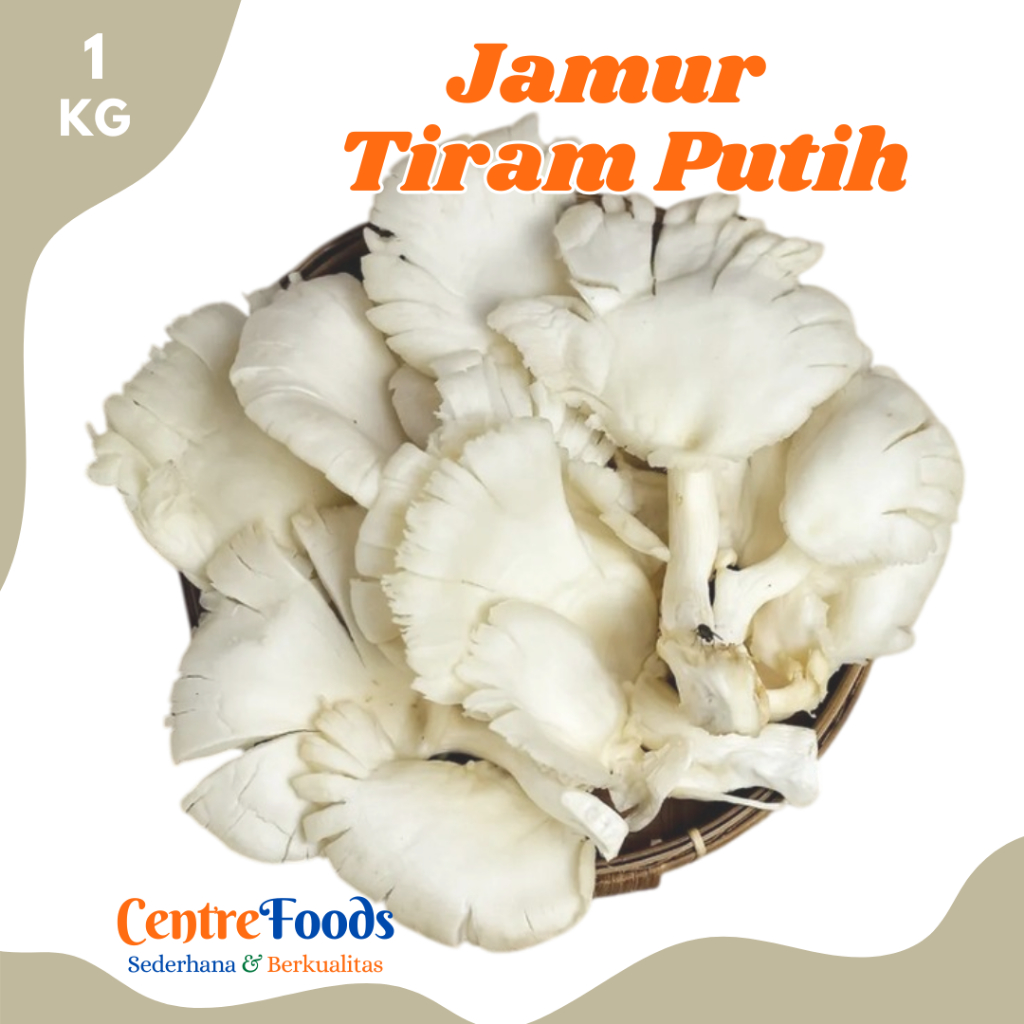 

JAMUR TIRAM Putih - Jamur Tiram Pangan Fresh | 1.000gr [ Harga Per KG ]