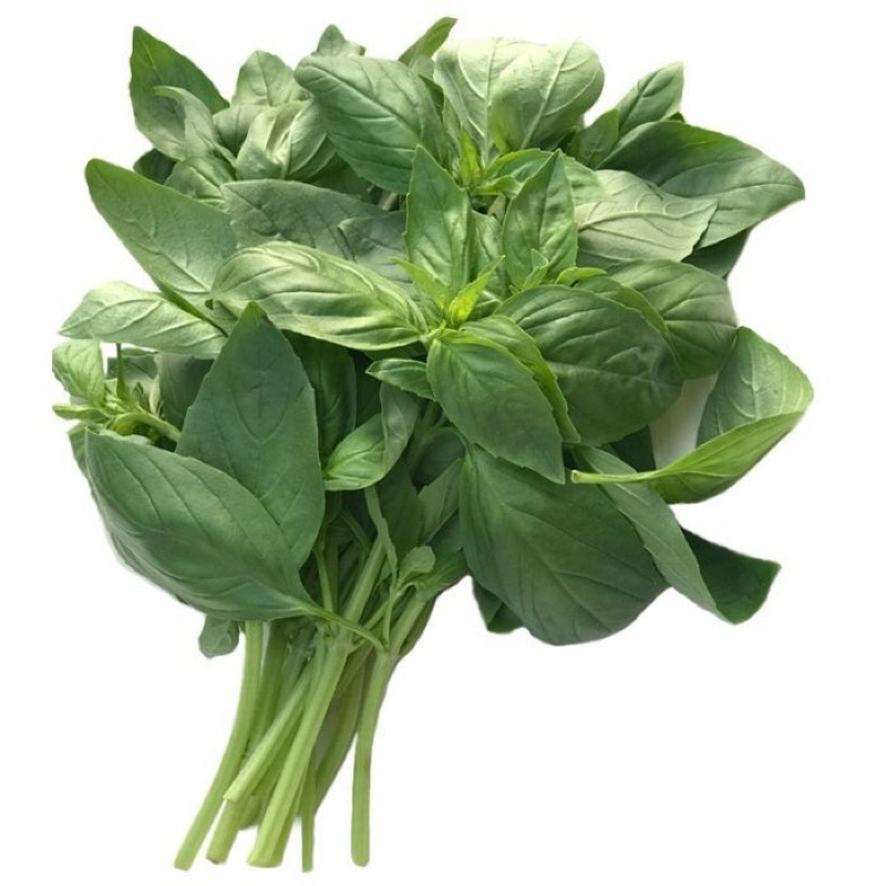 

bayam lokal 500gr