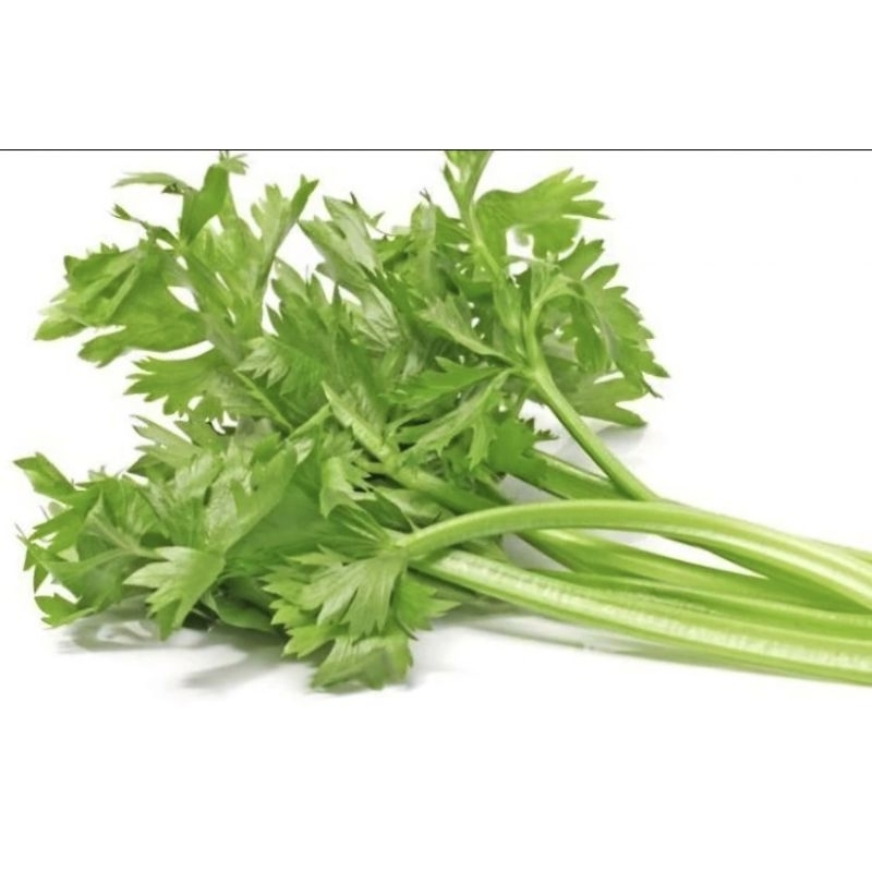 

Daun Seledri / 100 gram [GOJEK/GRAB INSTANT/SAMEDAY ONLY]