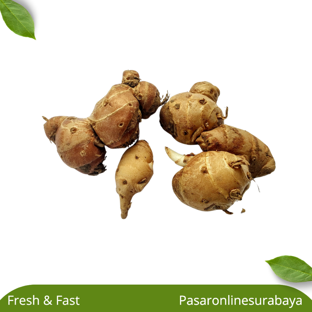 

kencur 100 gram 200 gr 250 gr 500 g 1 kg