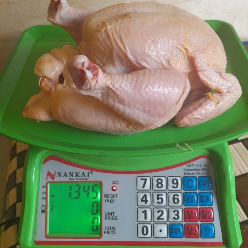 

ayam broiler utuh frozen berat 1300 gram